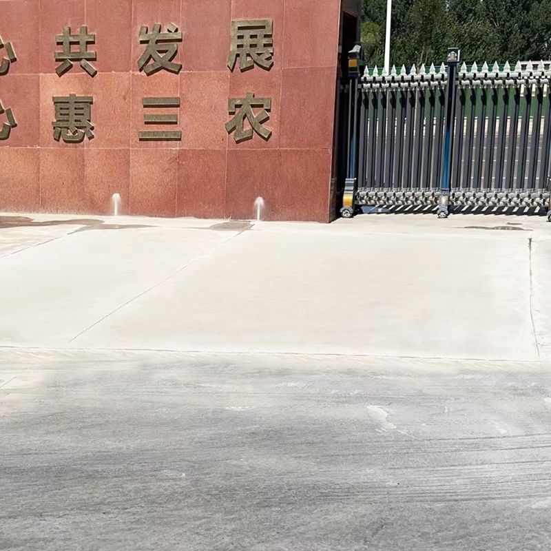 东兰路面快速通车修补料